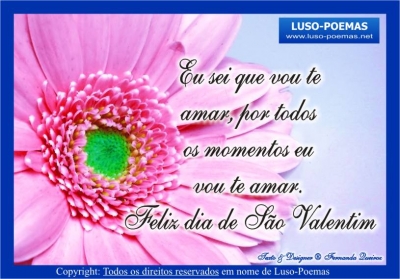 Clique para ver a imagem em tamanho real