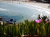 DSC0987.jpg