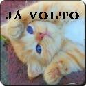 fabiofan