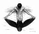 Blackbird