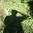 caio.flavio