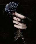 Dark_Rose