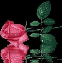 4701_4ac07f15dd69f.jpg 218X220 px